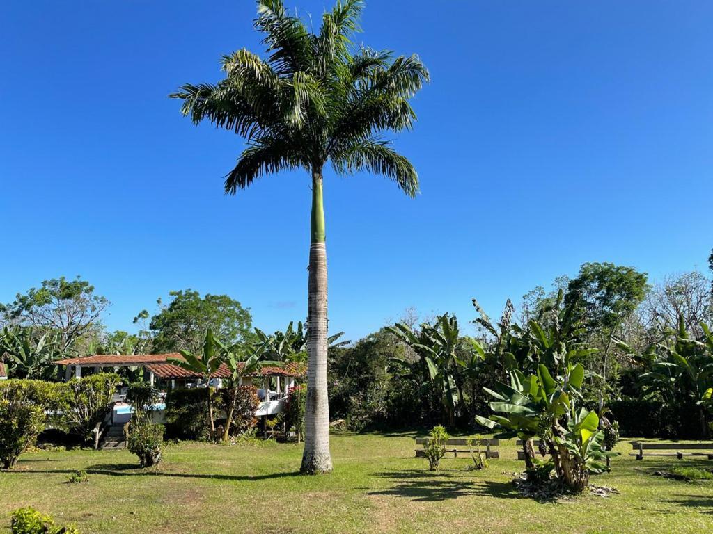 Enchanted Galapagos Lodge Puerto Ayora  Exterior photo